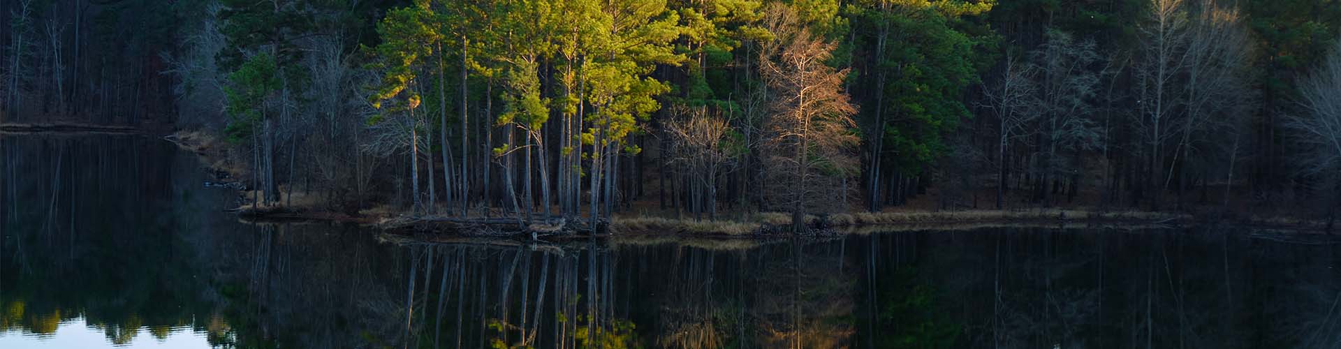 Jordan Lake, North Carolina